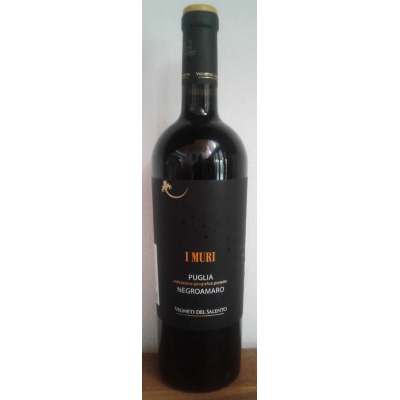 Wine Bottle I Muri Negroamaro
